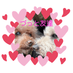 Hanako_202504