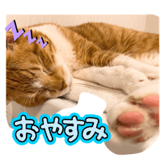 Mie_20250406130821