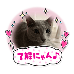 PON_20250406131332