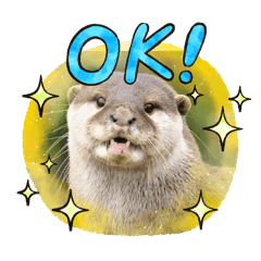 Cute Otters_2025