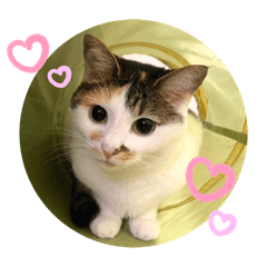 Natsuki_20250406130951