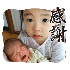 hikaru_20250406133541