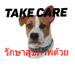 ADogV1