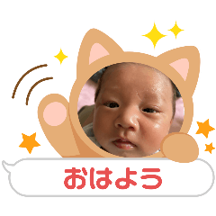 TK_20250406141138
