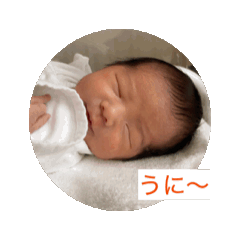 Oracchi_20250406144632