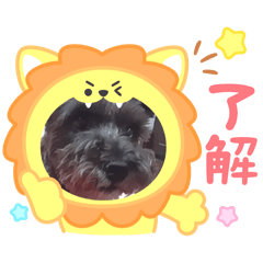 Mii_aakokomame