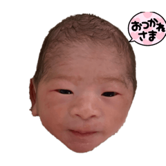 y_20250406160259