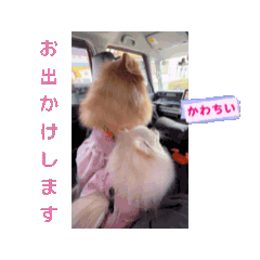 kinako_20250407013824