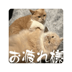 Kira_20250407025604
