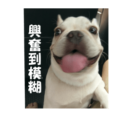 許阿牛的生活