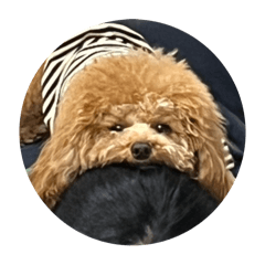 sakiii_20250406183717