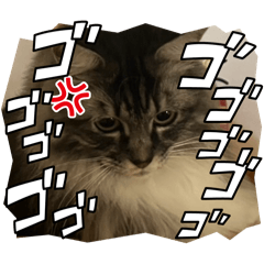 Hinata_20250406184140