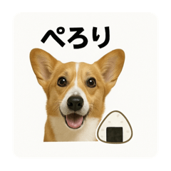 RYOTA_20250403220935