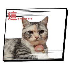 瓦特3