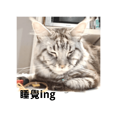露比and雪寶