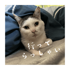 My_20250406151024