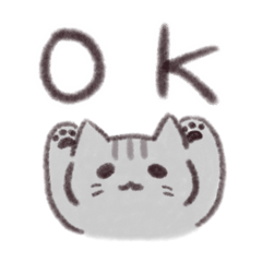 CAT_20250404153203