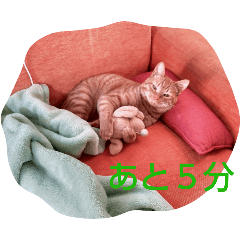 MICHEL_20250404202956