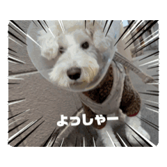 yuka_20250404210605