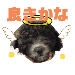 aoi_20250406195136
