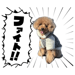 Chii_20250406192525