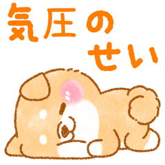 iyashibainu rainy day