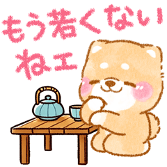 iyashibainu feel age