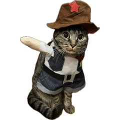My cat (ruru) _cowboy Ver.