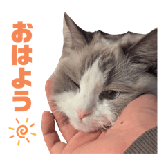 maimai_20250405032401