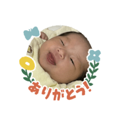 haya_20250406180615