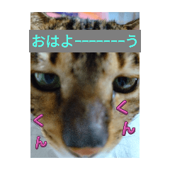 ichimiki