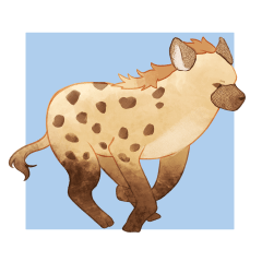 The daily life of a spotted hyena