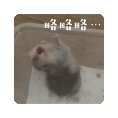 奶雞2.0.0