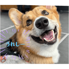 SYO_20250405202441