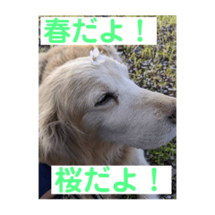 Tanaka_20250406163939