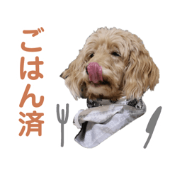 大型犬と生きるⅱ