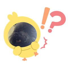 皮蛋1～