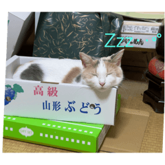 haru_20250406171341