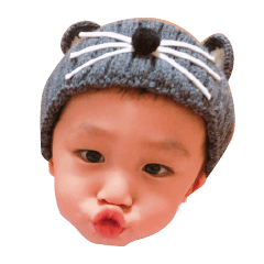 porter lin