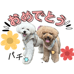 Chii_20250406211357