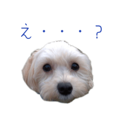 hii_20250406212326