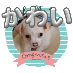 natsuki_20250406211934