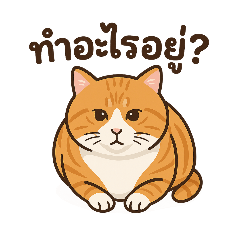 cat_20250404213620