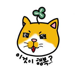 猫の キュートスニちゃんの 生活