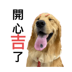 憨吉 no1