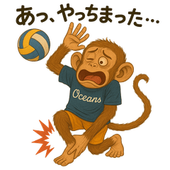 Soft Volleyball Accidents