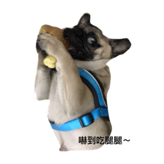小巴