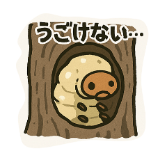 tanuki_20250406150758