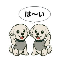 masa_20250406185939