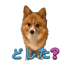 poco_20250406190207